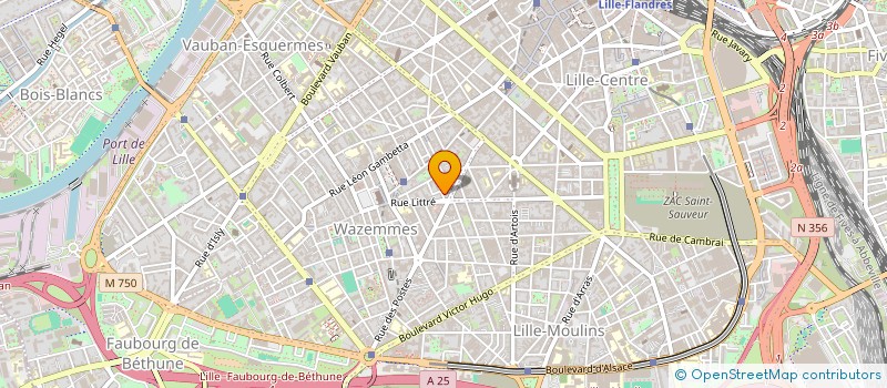 localisation de l'entreprise MADAME TESS DEFRETIN à LILLE