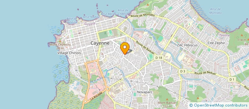 localisation de l'entreprise MADAME TESSLY CHONVILLE  CAYENNE