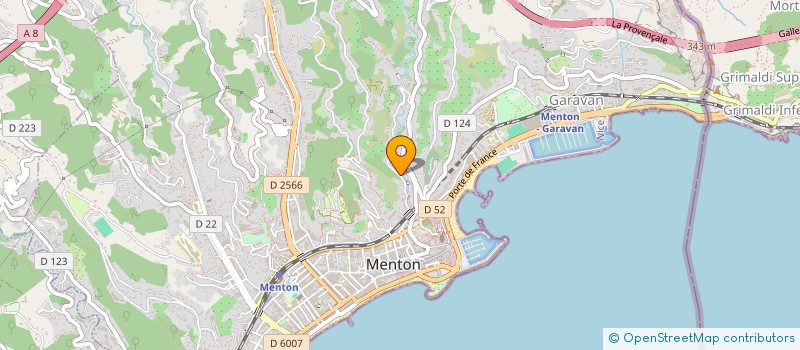 localisation de l'entreprise MADAME TETIANA SATYREVA à MENTON