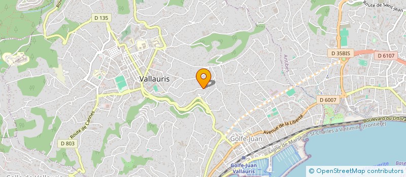 localisation de l'entreprise MADAME TETIANA YATSYSHYN  VALLAURIS