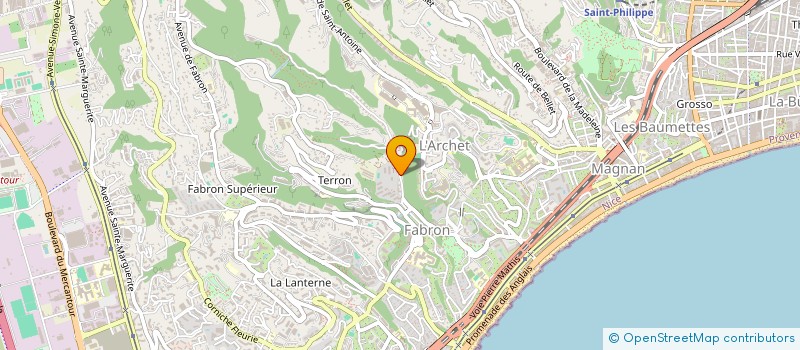localisation de l'entreprise MADAME TETYANA KUZMINA à NICE
