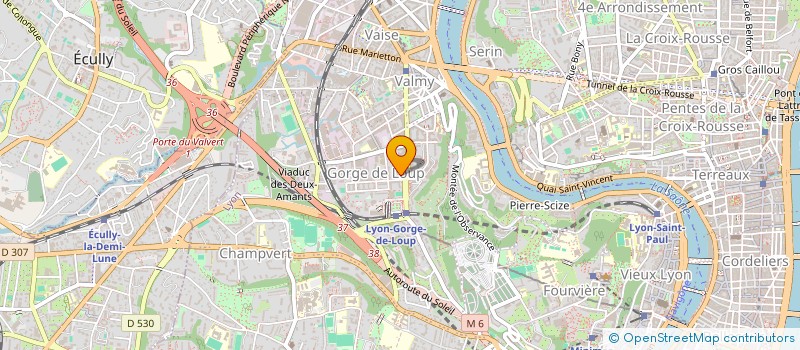localisation de l'entreprise MADAME THAIS CHARBON à LYON