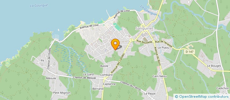 localisation de l'entreprise MADAME THAIS COUZINOU  SANGUINET