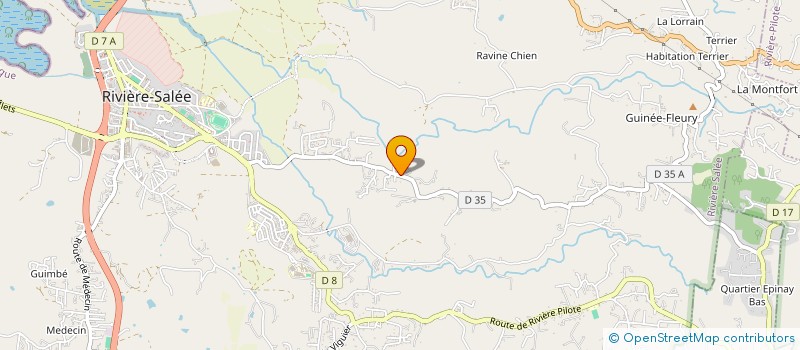 localisation de l'entreprise MADAME THAIS FILOMIN  RIVIERE-SALEE