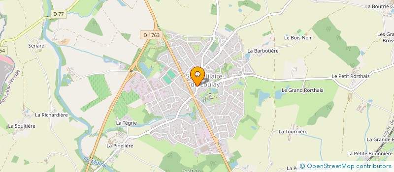 localisation de l'entreprise MADAME THAIS PIRAUD à MONTAIGU-VENDEE