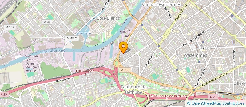 localisation de l'entreprise MADAME THEA DIZIER à LILLE