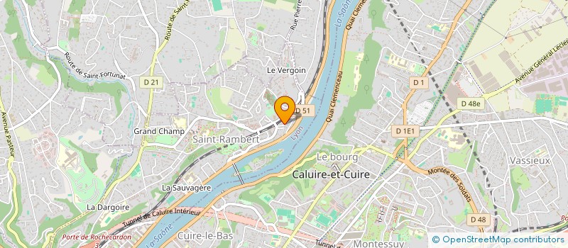 localisation de l'entreprise MADAME THELMA MICHALET à LYON