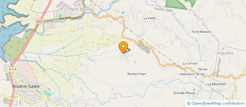 localisation de l'entreprise MADAME THERESA THURAR  RIVIERE-SALEE