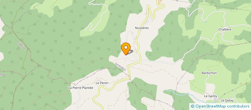 localisation de l'entreprise MADAME THERESE BONNEVAY  GRANDRIS