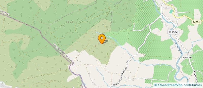 localisation de l'entreprise MADAME THERESE DEBROAS  SAINT-SAUVEUR-DE-CRUZIERES