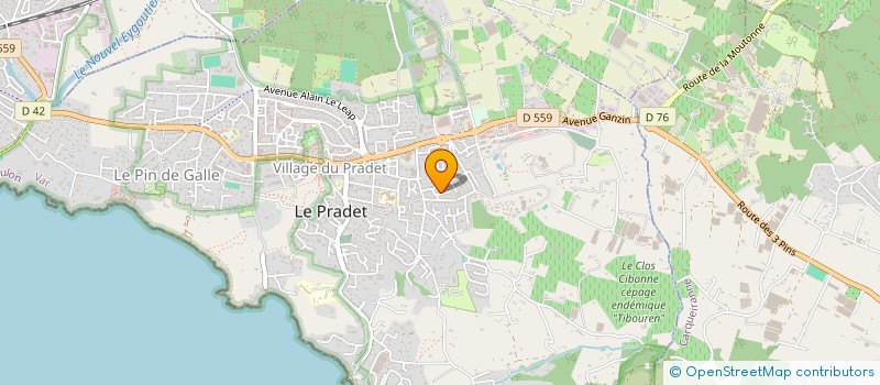 localisation de l'entreprise MADAME THERESE FERNIQUE  LE PRADET