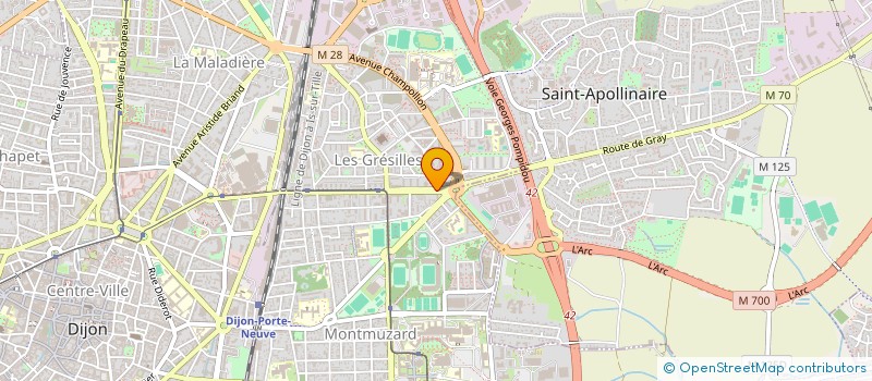 localisation de l'entreprise MADAME THERESE GUYENNE  DIJON