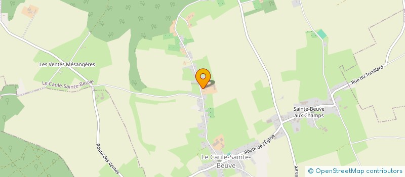 localisation de l'entreprise MADAME THERESE LEBORGNE  LE CAULE-SAINTE-BEUVE