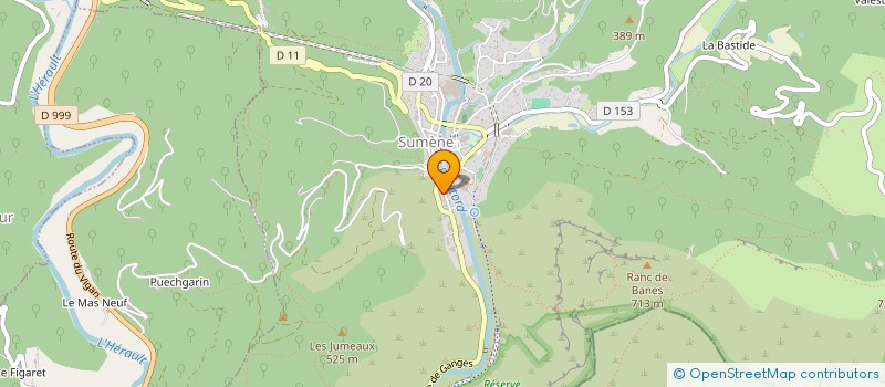 localisation de l'entreprise MADAME THERESE LIENARD  SUMENE