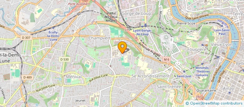 localisation de l'entreprise MADAME THERESE MAIAMONA NZAU  LYON