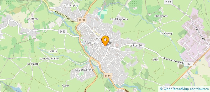 localisation de l'entreprise MADAME THERESE PELLETIER  MORNANT