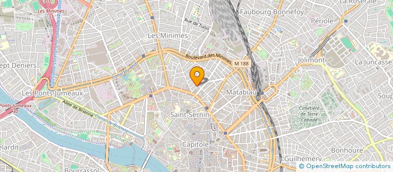 localisation de l'entreprise MADAME THERESE PITTE à TOULOUSE