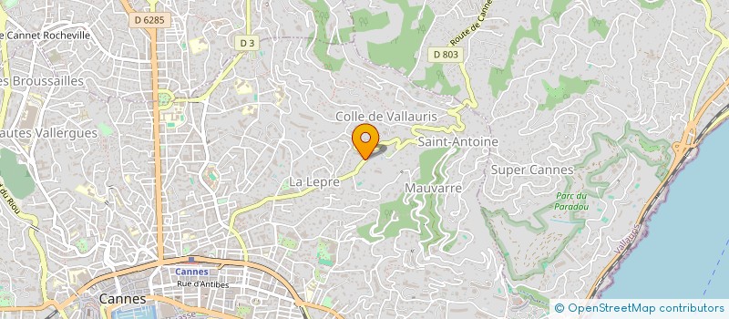 localisation de l'entreprise MADAME THERESE ROUSSET  CANNES