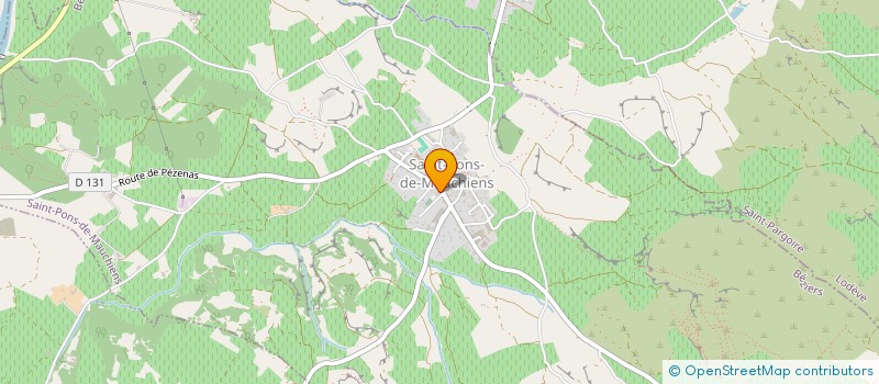 localisation de l'entreprise MADAME THERESE VERNIERE  SAINT-PONS-DE-MAUCHIENS