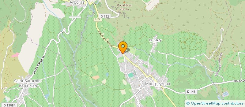 localisation de l'entreprise MADAME THERESE VINAS à MONTPEYROUX