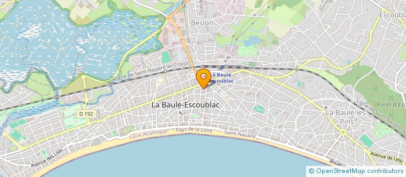 localisation de l'entreprise MADAME THI BICH-THUY DUONG à LA BAULE-ESCOUBLAC