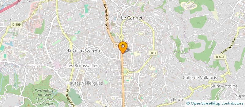 localisation de l'entreprise MADAME THI NGUYEN à LE CANNET