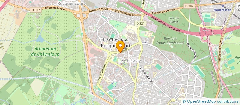 localisation de l'entreprise MADAME THI-YEN NGUYEN-DUONG  LE CHESNAY-ROCQUENCOURT