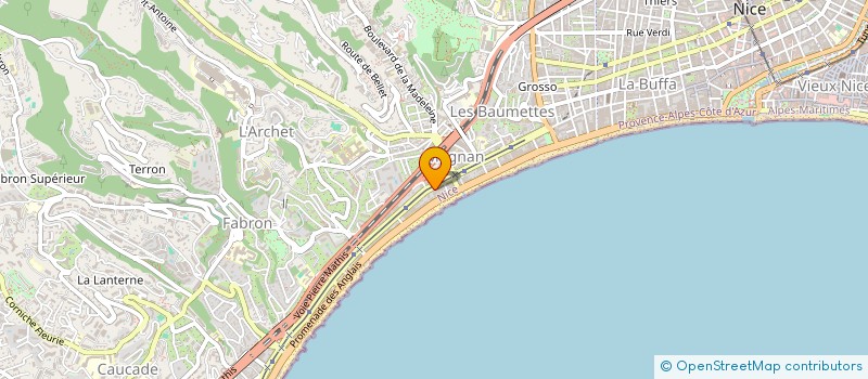 localisation de l'entreprise MADAME THIZIRI HAMIDOUCHE à NICE