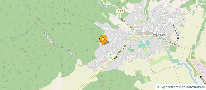 localisation de l'entreprise MADAME THOMAS LELOUP  SELONGEY