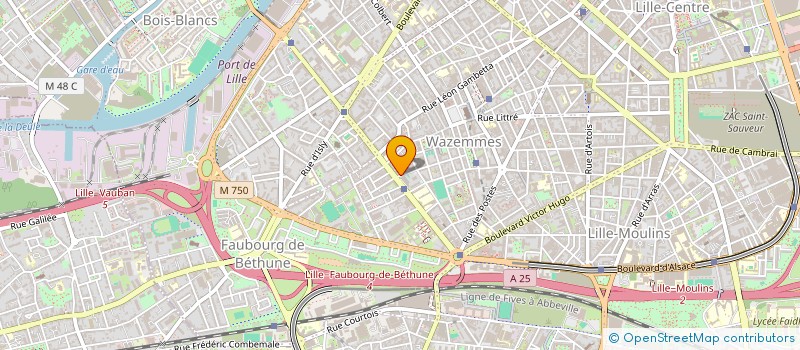 localisation de l'entreprise MADAME THOUWAYBA ESSIARAB à LILLE