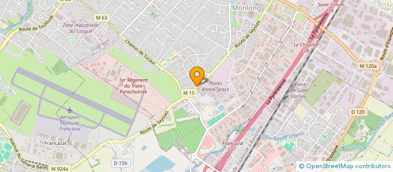 localisation de l'entreprise MADAME THUC TRIEU  TOULOUSE