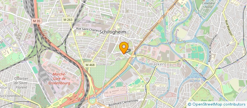 localisation de l'entreprise MADAME TINATIN IVANISHVILI  SCHILTIGHEIM