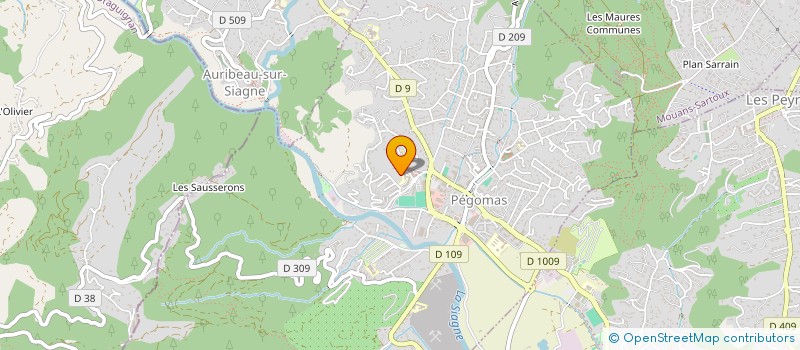 localisation de l'entreprise MADAME TIPHAINE BOTHOREL  PEGOMAS