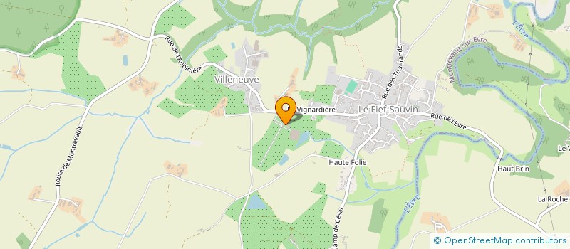 localisation de l'entreprise MADAME TIPHAINE GALLENNE à MONTREVAULT-SUR-EVRE