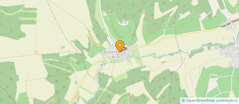 localisation de l'entreprise MADAME TIPHAINE GAUTHEROT à BUXIERES-SUR-ARCE