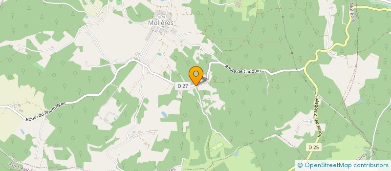 localisation de l'entreprise MADAME TIPHANIE CHANDOU  MOLIERES