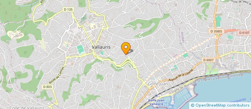 localisation de l'entreprise MADAME TIZIANA FAVARA  VALLAURIS