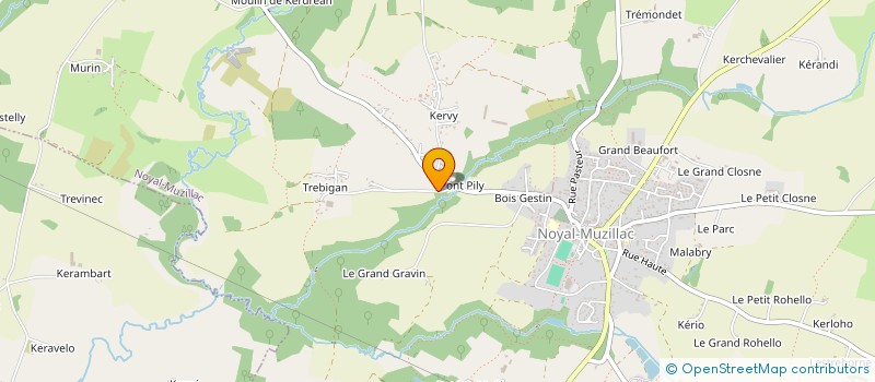 localisation de l'entreprise MADAME TONI BILLIS  NOYAL-MUZILLAC