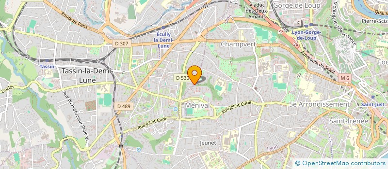 localisation de l'entreprise MADAME TOURIA ESSAFAOUI  TASSIN-LA-DEMI-LUNE