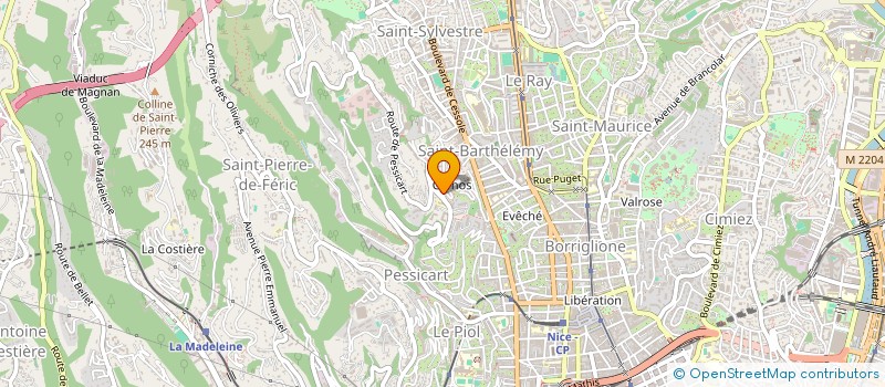 localisation de l'entreprise MADAME TRAN HONG VAN DUONG à NICE