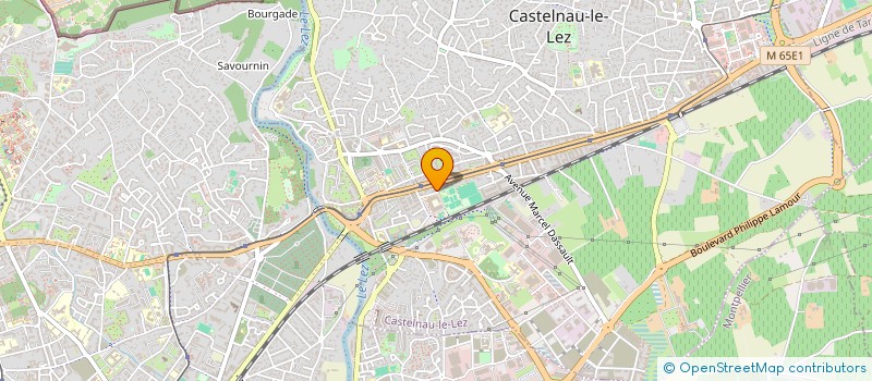 localisation de l'entreprise MADAME TYPHENE BUFFET  CASTELNAU-LE-LEZ