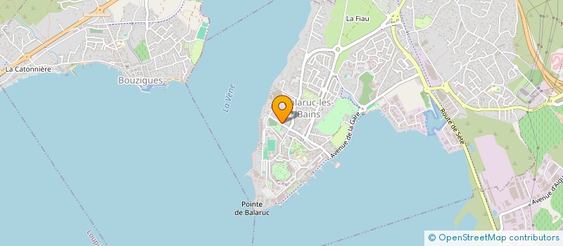 localisation de l'entreprise MADAME TZVETELINA MIHAYLOVA  BALARUC-LES-BAINS