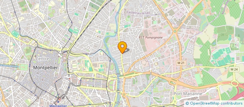 localisation de l'entreprise MADAME VAINUI TRUCHON à MONTPELLIER