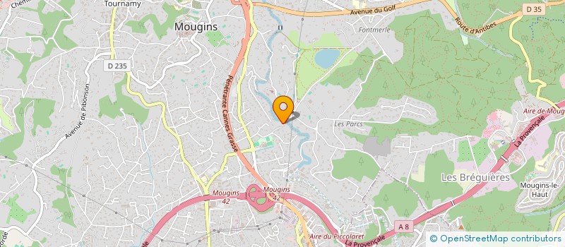 localisation de l'entreprise MADAME VALENTINA NAOUMENKO  NICE