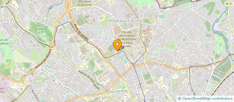 localisation de l'entreprise MADAME VALENTINA SCHEMBRI à MONTPELLIER