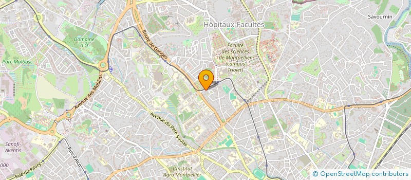 localisation de l'entreprise MADAME VALENTINE RICHARD à MONTPELLIER
