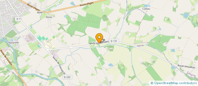 localisation de l'entreprise MADAME VALENTINE TEYSSOU  NERAC