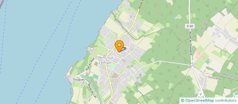 localisation de l'entreprise MADAME VALERIE ADANI  CHENS-SUR-LEMAN