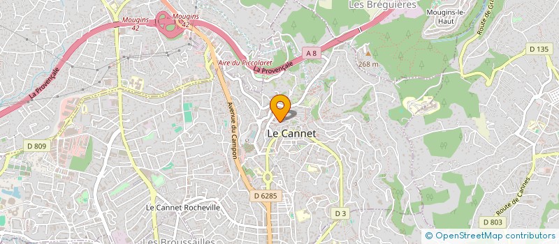 localisation de l'entreprise MADAME VALERIE BON-NGUYEN à LE CANNET