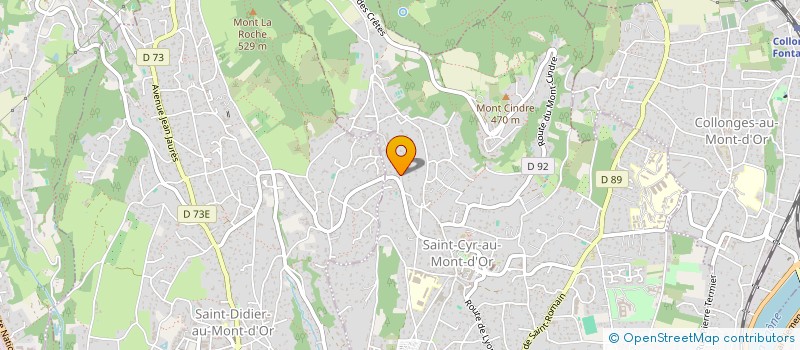 localisation de l'entreprise MADAME VALERIE BOURGOIN  SAINT-CYR-AU-MONT-D'OR